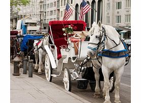 CENTRAL Park Horse and Carriage Tour - Private