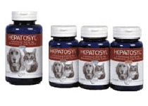 Ceva Animal Health Hepatosyl Liver Function Capsules (30 x 100g)