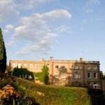 Champagne Afternoon Tea for Two at The Elms