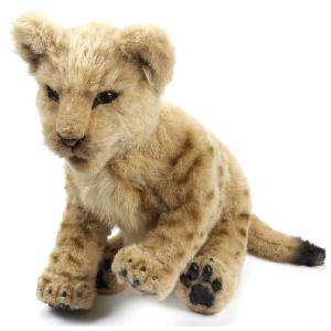 Alive Lion Cub