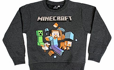 Character UK Character Boys Minecraft Sweatshirt Age 7 to 8 Years