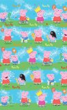 Characters 4 Kids Peppa Pig and George Gift Wrap and Tag Pack - New 2008 Design!