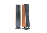 Chario Constellation Cygnus Floor Speakers Walnut