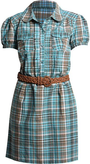 Charlie check shirt dress