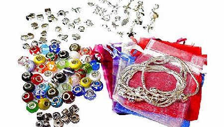 Charm Buddy Pandora Style Bracelet Making Jewellery Gift Set Kit