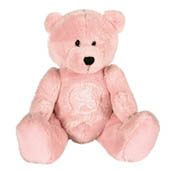 Chelsea Sam Beany Bear - Pink.