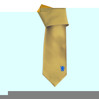chelsea Tie - (Gold Colour).