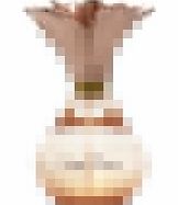 Storm Flower Eau de Parfum Spray 50ml