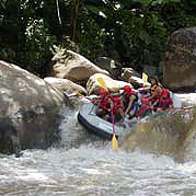 Chiang Mai White Water Rafting - Adult