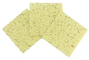 Chocolate Trading Co Speckled, white chocolate panels - Box of 10
