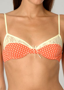 Cotton Lace underwire bra