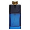 Christian Dior Addict - 100ml Eau de Parfum Spray