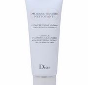 Christian Dior Cleansers Gentle Foaming Cleanser