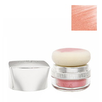 Christian Dior Face - Blush - Backstage Makeup Pro Cheeks