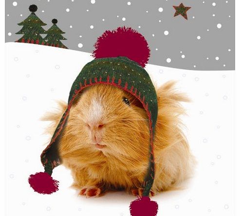 Crazy Christmas Guinea Pigs Luxury Christmas Cards Pack
