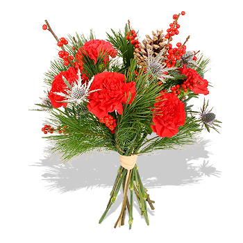 christmas Carnations Bouquet - flowers