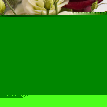 Christmas Spice - flowers