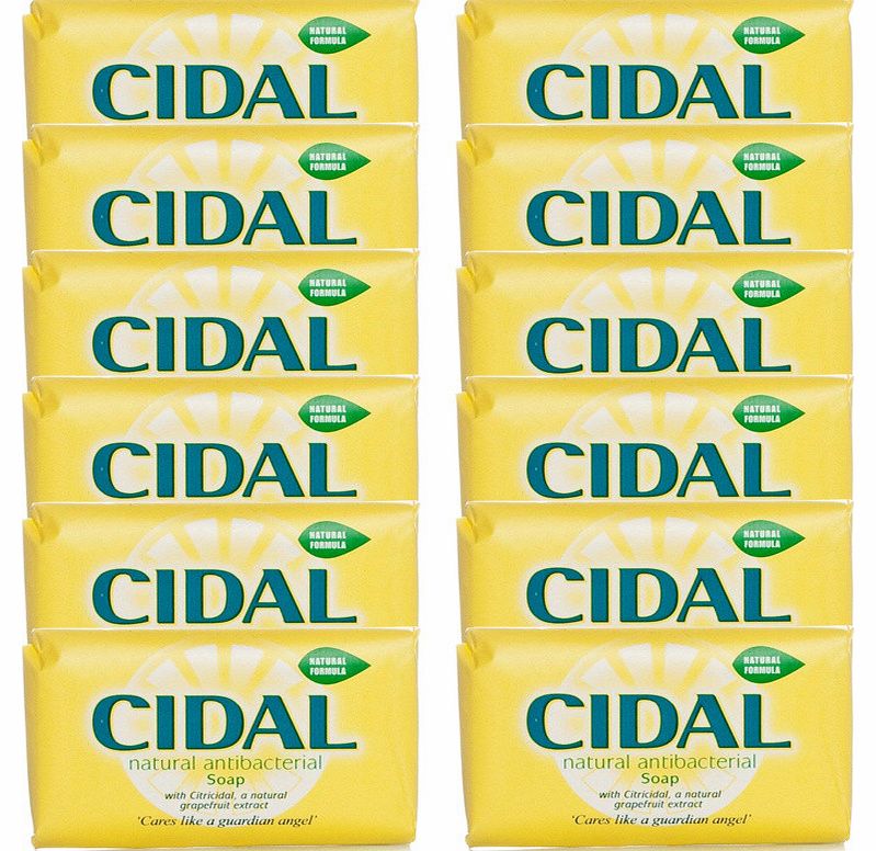 Cidal Natural Antibacterial Soap 12 Pack