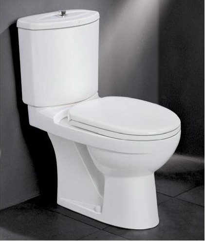 Cipini Aloni Close Coupled WC
