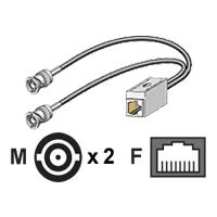 - Network adapter cable - RJ-48C (F) - BNC