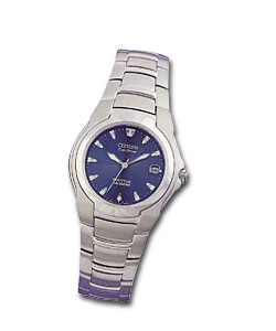 Citizen Eco-Drive Gents Perpetual