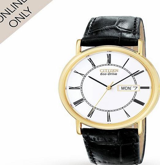 Citizen Gents Eco-Drive Watch BM8242-16A