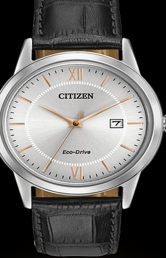 Citizen Mens Watch AW1236-03A
