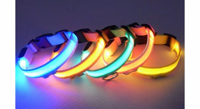 BLUE Flashing LED Safety Dog Collar, Adjustable Size, Blue Colour, Small, Medium, Large or XL Sizes, Width 2.5CM (Medium (16.5 inches - 42 cm))