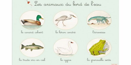 Claire et Pierre Educational poster - Animals at the waterside