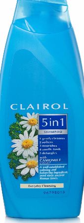 Clairol 5in1 Everyday Cleansing Shampoo