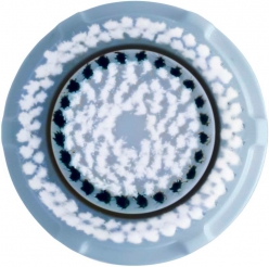 Clarisonic REPLACEMENT BRUSH HEAD - DELICATE