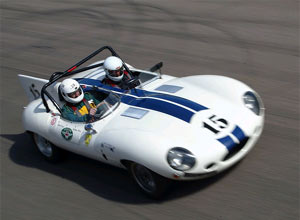 Classic and sports car day (for two)