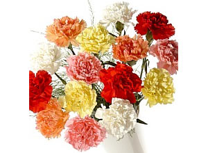 Classic Carnation Bouquet