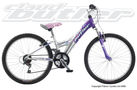 Claud Butler Banshee 2009 Kids Bike