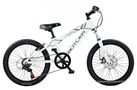 Claud Butler Klaw 20 2010 Kids Bike (20