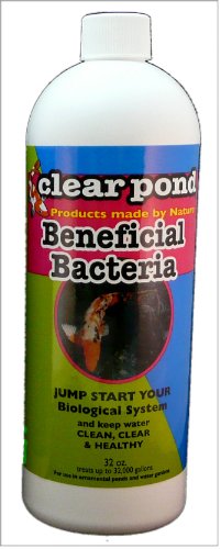 Clear Pond Products Clear Pond 32103 Clear Pond BSL Liquid-32 oz.