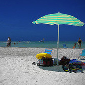 Clearwater Beach Trip - Adult