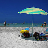 Beach Trip - Clearwater Beach plus Dolphin Cruise Adult