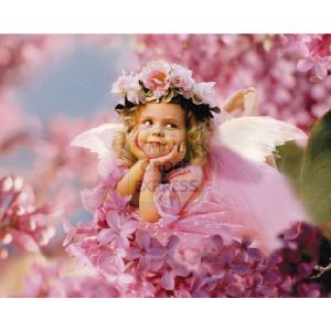 V TS Daydreamer 1000 Piece Puzzle