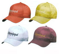 Cleveland Multicolour Twill Cap