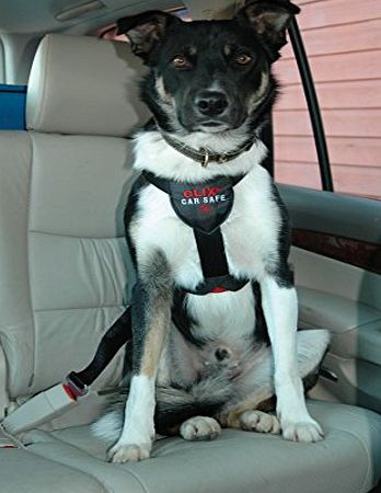 Clix by the Company Of Animals Clix Car Safe Dog Harness M Provides Safety and Comfort For Dogs in The Car M