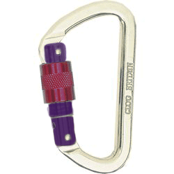Clog 10mm Screwgate Carabiner