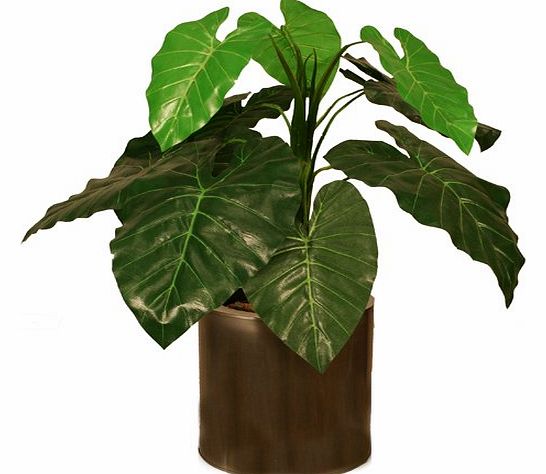 Closer To Nature Artificial 2ft Taro Plant - Artificial Silk Plant 