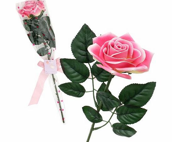 Closer To Nature Gift Wrapped Deep Silk Rose with Gift Tag and Ribbon - Pink (12 Pieces)