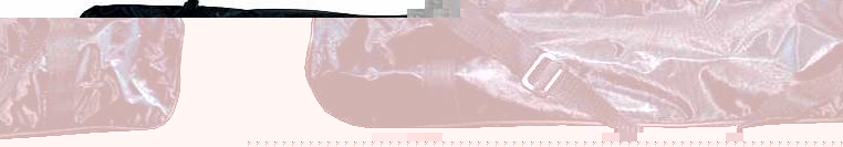 Cobra TC-1 Tripod Carry Case