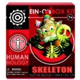 Professor EIN-Os Human Biology Box Kit - The Heart
