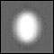 P Series Filters - Oval Center Spot (Black) - Ref. P141