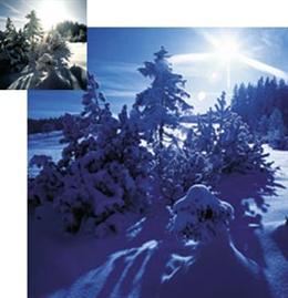 cokin P020 Prof Blue 80A Filter