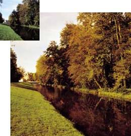 Cokin P029 Prof Orange 85 Filter