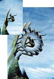 P203 Prof Multi-Image 13 Filter